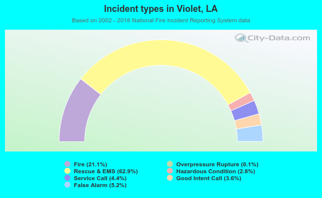 Incident types in Violet, LA