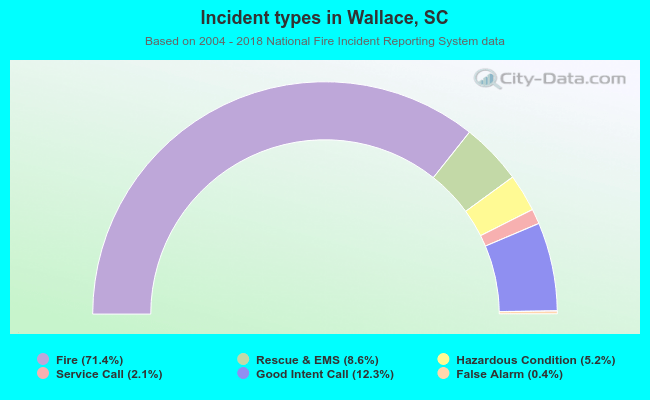 Incident types in Wallace, SC