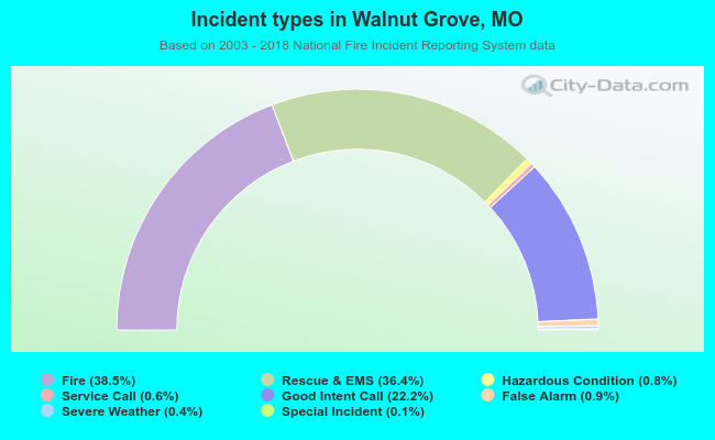 Incident types in Walnut Grove, MO