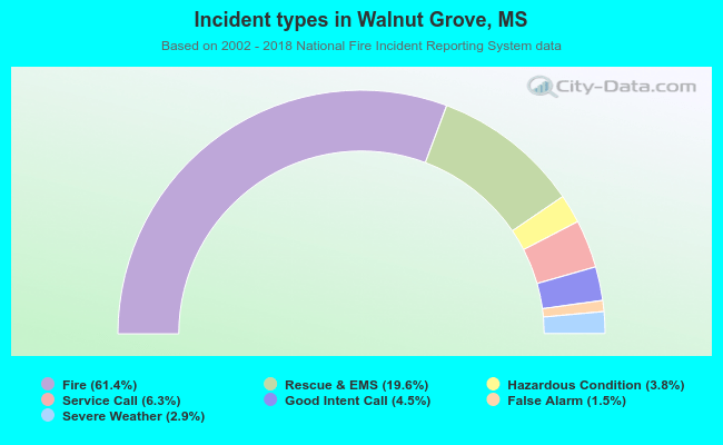 Incident types in Walnut Grove, MS