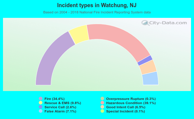 Incident types in Watchung, NJ