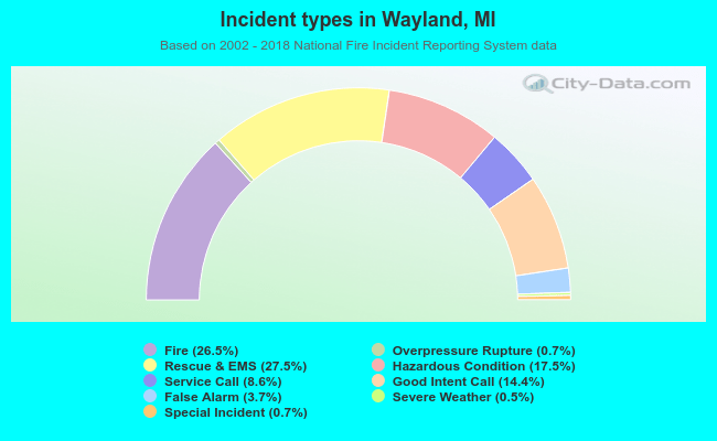 Incident types in Wayland, MI