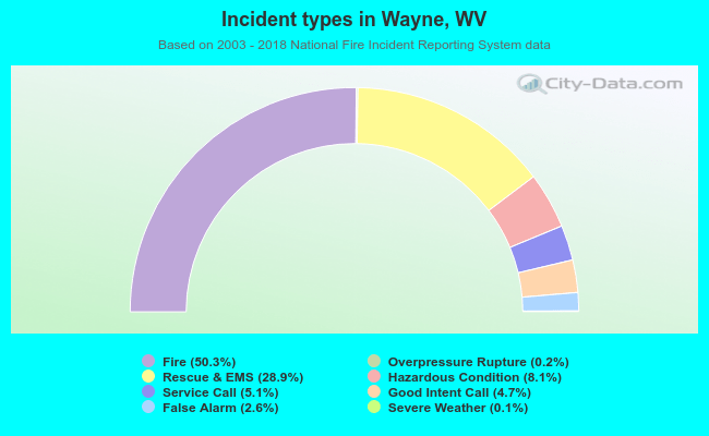 Incident types in Wayne, WV