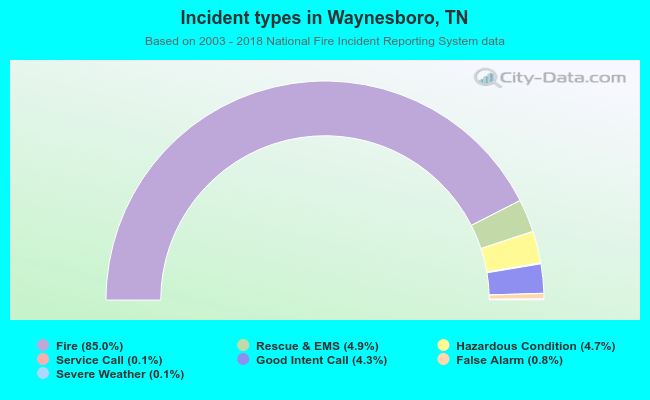Incident types in Waynesboro, TN
