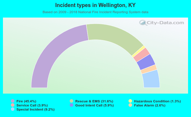 Incident types in Wellington, KY