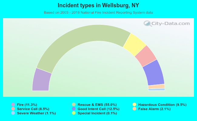 Incident types in Wellsburg, NY