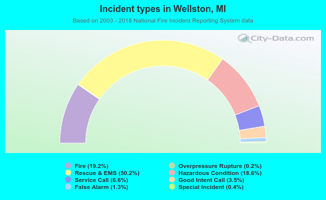 Incident types in Wellston, MI