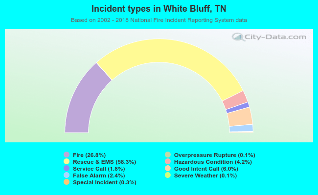 Incident types in White Bluff, TN
