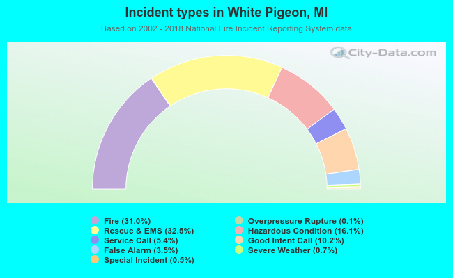 Incident types in White Pigeon, MI