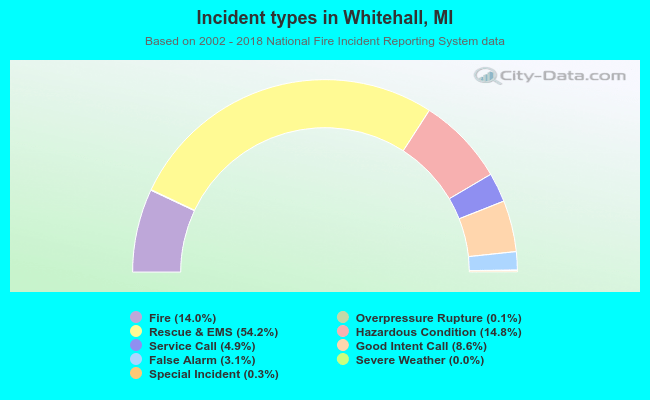 Incident types in Whitehall, MI
