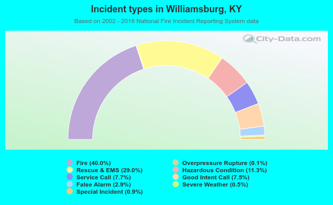 Incident types in Williamsburg, KY