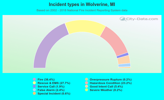 Incident types in Wolverine, MI