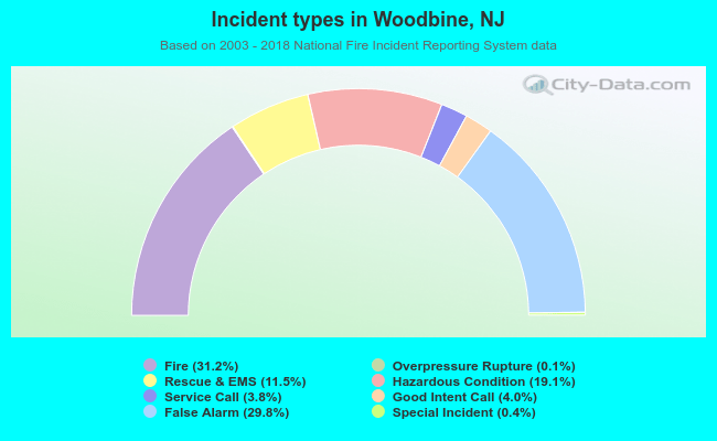 Incident types in Woodbine, NJ