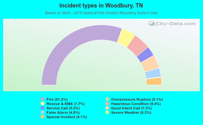 Incident types in Woodbury, TN