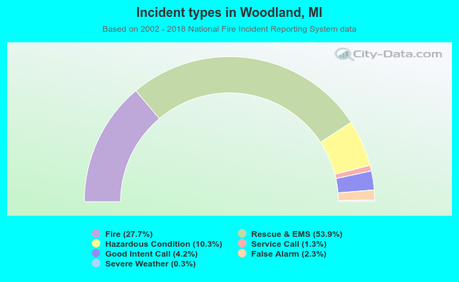 Incident types in Woodland, MI
