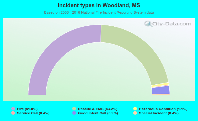 Incident types in Woodland, MS