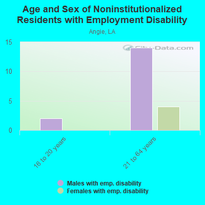 Age and Sex of Noninstitutionalized Residents with Employment Disability