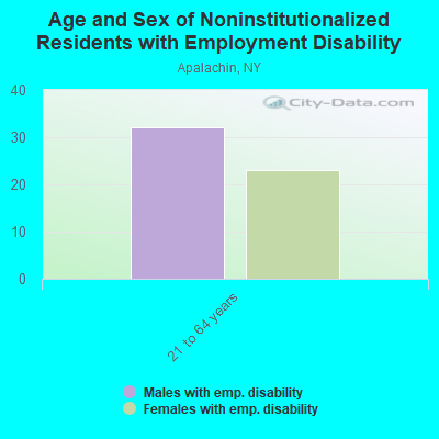 Age and Sex of Noninstitutionalized Residents with Employment Disability