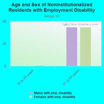 Age and Sex of Noninstitutionalized Residents with Employment Disability