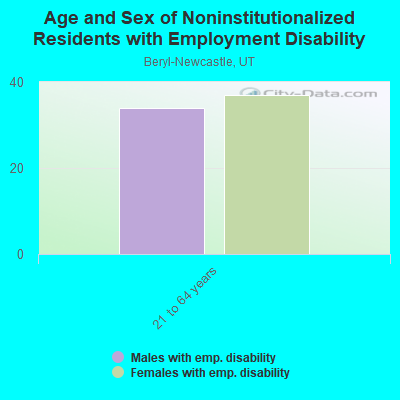 Age and Sex of Noninstitutionalized Residents with Employment Disability