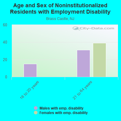 Age and Sex of Noninstitutionalized Residents with Employment Disability