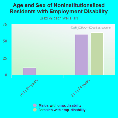 Age and Sex of Noninstitutionalized Residents with Employment Disability