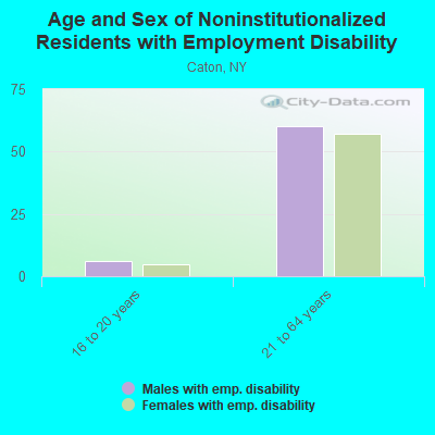 Age and Sex of Noninstitutionalized Residents with Employment Disability