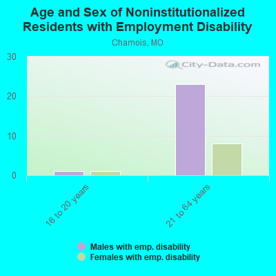 Age and Sex of Noninstitutionalized Residents with Employment Disability