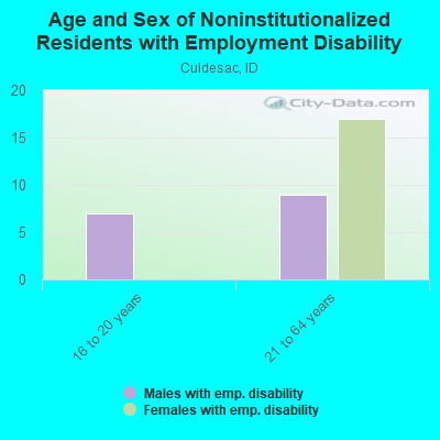 Age and Sex of Noninstitutionalized Residents with Employment Disability