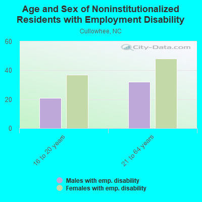 Age and Sex of Noninstitutionalized Residents with Employment Disability