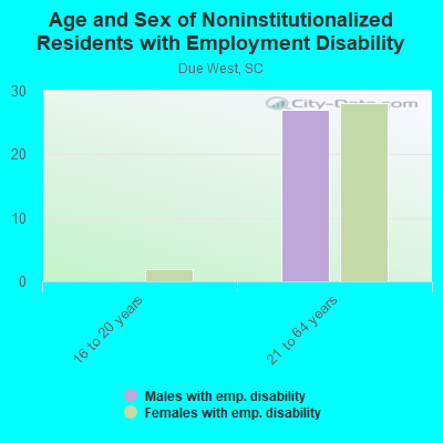 Age and Sex of Noninstitutionalized Residents with Employment Disability