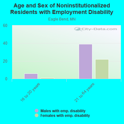 Age and Sex of Noninstitutionalized Residents with Employment Disability