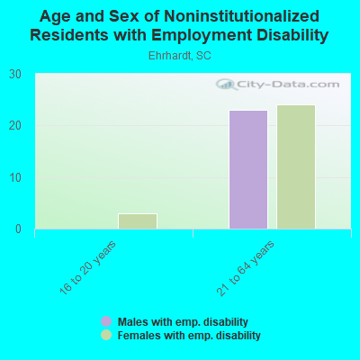 Age and Sex of Noninstitutionalized Residents with Employment Disability