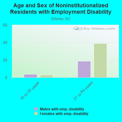 Age and Sex of Noninstitutionalized Residents with Employment Disability