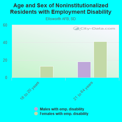 Age and Sex of Noninstitutionalized Residents with Employment Disability