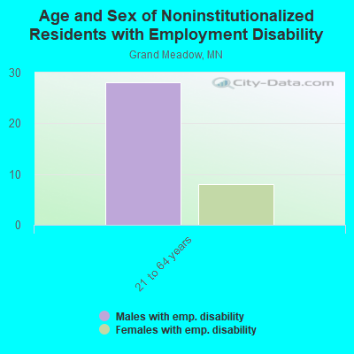 Age and Sex of Noninstitutionalized Residents with Employment Disability