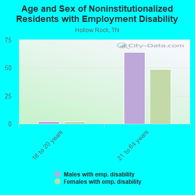 Age and Sex of Noninstitutionalized Residents with Employment Disability