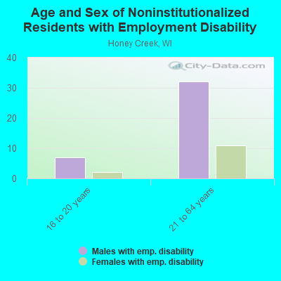 Age and Sex of Noninstitutionalized Residents with Employment Disability