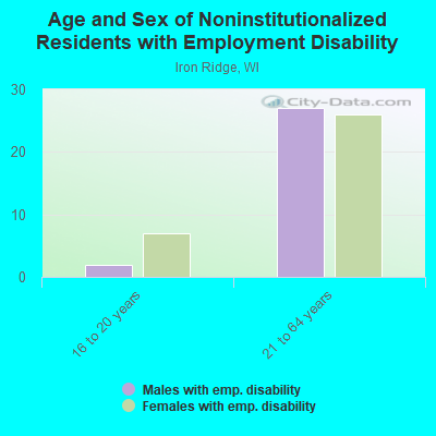 Age and Sex of Noninstitutionalized Residents with Employment Disability