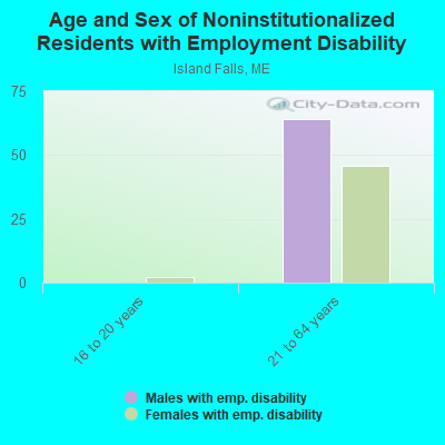 Age and Sex of Noninstitutionalized Residents with Employment Disability