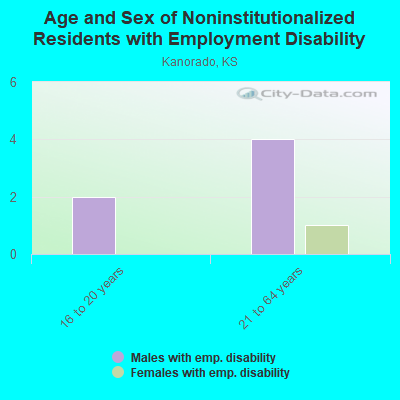 Age and Sex of Noninstitutionalized Residents with Employment Disability