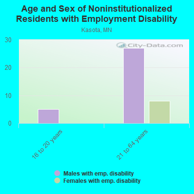 Age and Sex of Noninstitutionalized Residents with Employment Disability