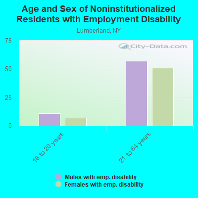 Age and Sex of Noninstitutionalized Residents with Employment Disability