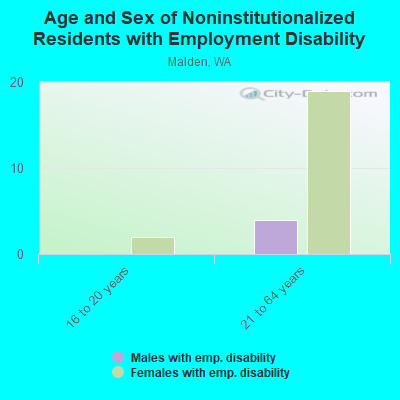 Age and Sex of Noninstitutionalized Residents with Employment Disability