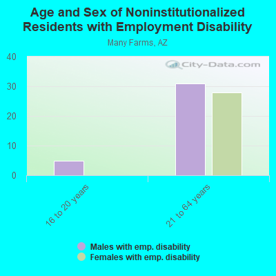 Age and Sex of Noninstitutionalized Residents with Employment Disability