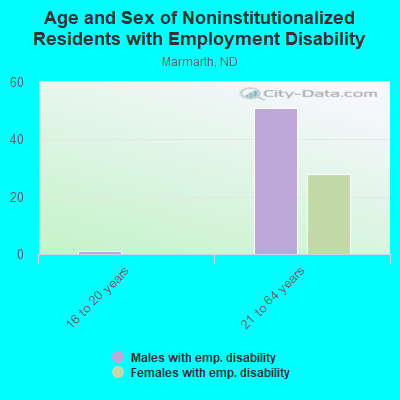 Age and Sex of Noninstitutionalized Residents with Employment Disability