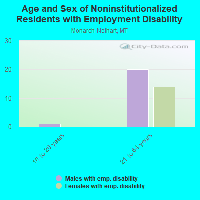 Age and Sex of Noninstitutionalized Residents with Employment Disability