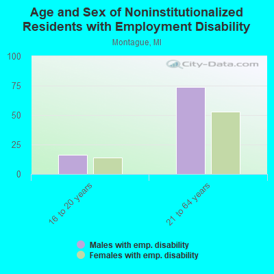 Age and Sex of Noninstitutionalized Residents with Employment Disability