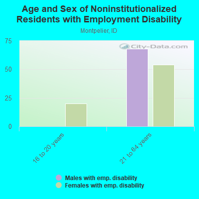 Age and Sex of Noninstitutionalized Residents with Employment Disability