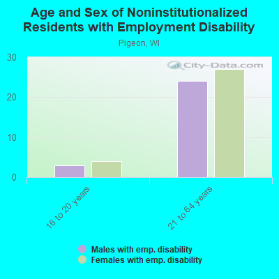 Age and Sex of Noninstitutionalized Residents with Employment Disability